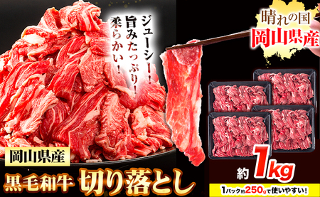  јa ؂藎Ƃ 1kgs30ȓɏoח\(yj)t R s   a  J[  pbN 250g 