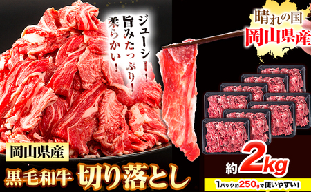  јa ؂藎Ƃ 2kgs30ȓɏoח\(yj)t R s   a  J[  pbN 250g 