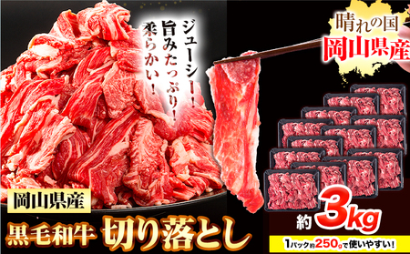  јa ؂藎Ƃ 3kgs30ȓɏoח\(yj)t R s   a  J[  pbN 250g 