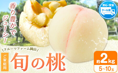  y2026Ns\z { {̓ ƒp 2kg (5`10) t[ct@[Rs2026N6{-8{oׁtR s  t[c  ʕ  { Y RYyz