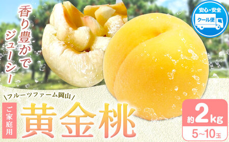   y2026Ns\z  ƒp 2kg (5`8) t[ct@[Rs2026N8{-8oׁtR s  t[c  ʕ  { Y RYyzs