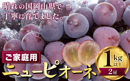 [2026年先行予約]ぶどう ニューピオーネ ご家庭用 1kg 以上 2房[2026年8月上旬-9月中旬頃出荷]株式会社fruceed ぶどう 送料無料 岡山県 浅口市 ぶどう フルーツ 果物 くだもの ピオーネ 家庭用 st-p