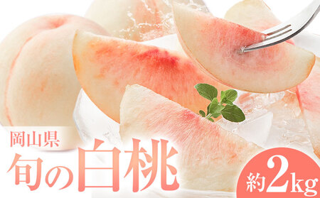 岡山県の旬の白桃 約2kg[配送不可地域あり](北海道・沖縄・離島) 花田青果株式会社[6月下旬-8月下旬頃出荷予定(土日祝除く)]岡山県 浅口市 白桃 桃 もも 旬 フルーツ 果物 st-p