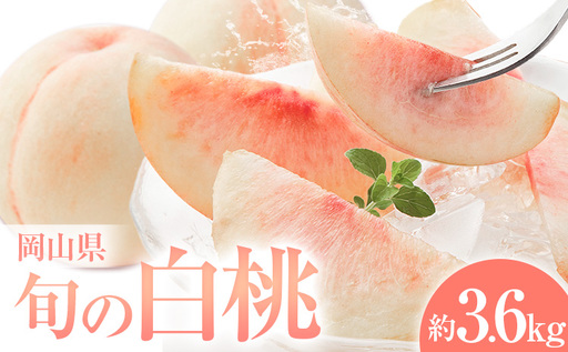 岡山県の旬の白桃 約3.6kg 花田青果株式会社