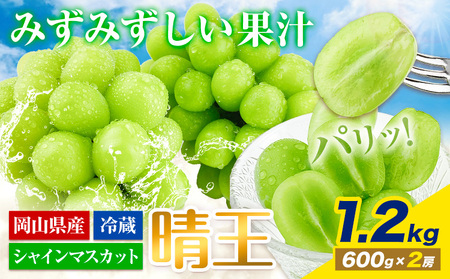 [2025年先行予約受付]ぶどう シャインマスカット 晴王 1.2kg(2房) 岡山県産[7月上旬-9月中旬頃出荷] ハレノフルーツ マスカット 送料無料 岡山県 浅口市 フルーツ 果物 国産 岡山県産 くだもの 青果物[配送不可地域あり](北海道・沖縄・離島)