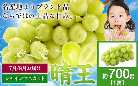 �y��s�\��z�Ԃǂ� �V���C���}�X�J�b�g ���� 700g 1�[ �}�X�J�b�g���R�s7����{-9�����{���o�ׁt���R�� ����s �������� �t���[�c �ʕ� �}�X�J�b�g �����񂹃t���[�c�y�z���s�n�悠��