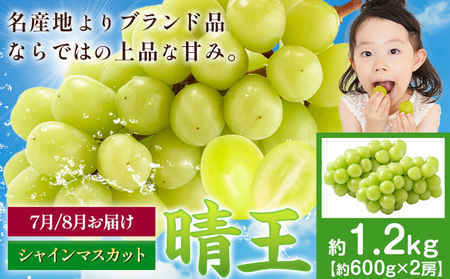 �y��s�\��z�Ԃǂ� �V���C���}�X�J�b�g ���� 1.2kg 2�[ �}�X�J�b�g���R�s7����{-9�����{���o�ׁt���R�� ����s �������� �t���[�c �ʕ� �}�X�J�b�g �����񂹃t���[�c�y�z���s�n�悠��