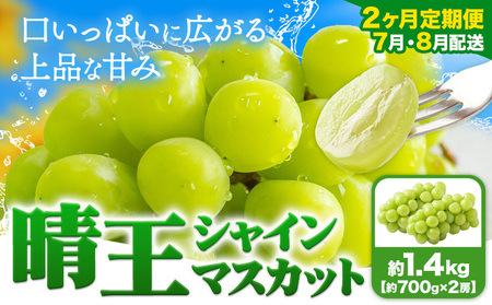 【2ヶ月定期便】ぶどう シャインマスカット 晴王 1.4kg 2房 マスカット岡山《7月上旬-8月末頃出荷》岡山県 浅口市 送料無料 フルーツ 果物 マスカット お取り寄せフルーツ【配送不可地域あり】（北海道・沖縄・離島）