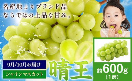 ys\zԂǂ VC}XJbg  600g 1[ }XJbgRs9{-11{oׁtR s  t[c ʕ }XJbg 񂹃t[cyzsn悠