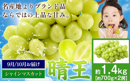 �y��s�\��z�Ԃǂ� �V���C���}�X�J�b�g ���� 1.4kg 2�[ �}�X�J�b�g���R�s9����{-11�����{���o�ׁt���R�� ����s �������� �t���[�c �ʕ� �}�X�J�b�g �����񂹃t���[�c�y�z���s�n�悠��