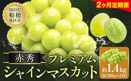 【先行予約】【2ヶ月定期便】ぶどう シャインマスカット 赤秀 プレミアム 晴王 1.4kg 2房 マスカット岡山《9月上旬-10月末頃出荷》岡山県 浅口市 送料無料 フルーツ 果物 マスカット お取り寄せフルーツ【配送不可地域あり】（北海道・沖縄・離島）