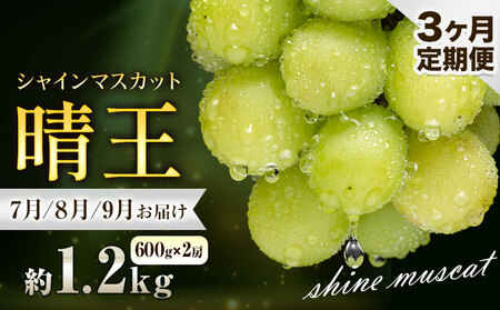 Ԃǂ VC}XJbg  1.2kg 2[ 3 ʔ؉ʁs7{-9oׁt }XJbg  R s t[c ʕ 蕨 Y RY  ʕ 7 8 9
