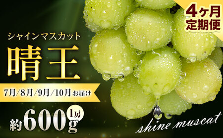 �Ԃǂ� �V���C���}�X�J�b�g ���� 600g 1�[ 4��������� �ʔ��؉ʁs7����{-10�������o�ׁt �}�X�J�b�g �������� ���R�� ����s �t���[�c �ʕ� ���蕨 ���Y �������� �ʕ� 7�� 8�� 9��10�� ���� �y