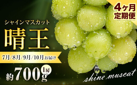 �y��s�\��z�Ԃǂ� �V���C���}�X�J�b�g ���� 700g 1�[ 4��������� �ʔ��؉ʁs7����{-10�������o�ׁt �}�X�J�b�g �������� ���R�� ����s �t���[�c �ʕ� ���蕨 ���Y �������� �ʕ� 7�� 8�� 9