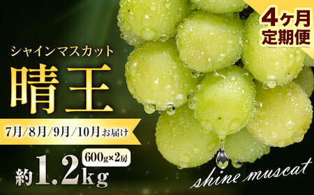 �Ԃǂ� �V���C���}�X�J�b�g ���� 1.2kg 2�[ 4��������� �ʔ��؉ʁs7����{-10�������o�ׁt �}�X�J�b�g �������� ���R�� ����s �t���[�c �ʕ� ���蕨 ���Y �������� �ʕ� 7�� 8�� 9��10�� ����