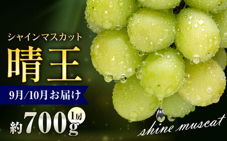 �y��s�\��z�Ԃǂ� �V���C���}�X�J�b�g ���� 700g 1�[ �ʔ��؉ʁs9����{-11�����{���o�ׁt �}�X�J�b�g �������� ���R�� ����s �t���[�c �ʕ� ���蕨 ���Y ���R���Y �������� �ʕ� �ʕ� 9