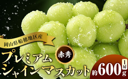 �y��s�\��z�Ԃǂ� ���R���D��n��Y �v���~�A�� �V���C���}�X�J�b�g ���� �ԏG 600g 1�[ �ʔ��؉ʁs9����{-11�����{���o�ׁt �}�X�J�b�g ���R�� ����s �t���[�c �ʕ� ���蕨 ���Y ������