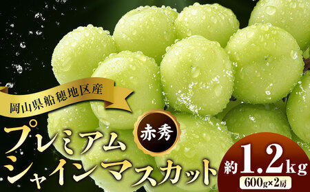 �y��s�\��z�Ԃǂ� ���R���D��n��Y �v���~�A�� �V���C���}�X�J�b�g ���� �ԏG 1.2kg 2�[ �ʔ��؉ʁs9����{-11�����{���o�ׁt �}�X�J�b�g ���R�� ����s �t���[�c �ʕ� ���蕨 ���Y ������