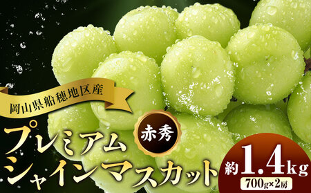 ys\zԂǂ RDnY v~A VC}XJbg  ԏG 1.4kg 2[ ʔ؉ʁs9{-11{oׁt }XJbg R s t[c ʕ 蕨 Y 