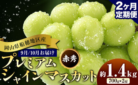 【先行予約】ぶどう 岡山県船穂地区産 プレミアム シャインマスカット 晴王 赤秀 1.4kg 2房 2ヶ月定期便 彩美菜果《9月上旬-10月末頃出荷》 マスカット 岡山県 浅口市 フルーツ 果物 贈り物 国産 くだもの 【配送不可地域あり】（北海道・沖縄・離島）
