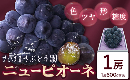 [2026年先行予約]ぶどう ニューピオーネ 1房(約600g前後) たけまさぶどう園 [2026年7月中旬-10月上旬頃出荷]岡山県 浅口市 送料無料 フルーツ 果物 岡山県産 青果物 お取り寄せフルーツ[配送不可地域あり](北海道・沖縄・離島)(離島) st-p
