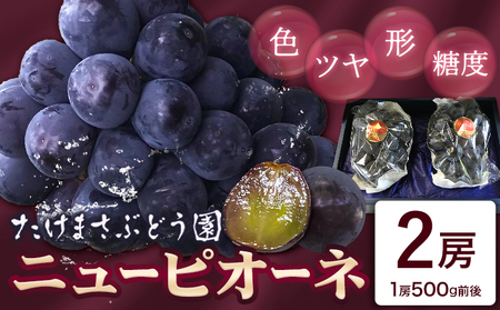 ニューピオーネ 2房(1房500g前後) たけまさぶどう園 先行予約[2025年7月中旬-10月中旬頃出荷]岡山県 浅口市 送料無料 フルーツ 果物 岡山県産 青果物 お取り寄せフルーツ 岡山産 ふるさと納税 ピオーネ 岡山 ふるさと納税 ぶどう [配送不可地域あり](北海道・沖縄・離島)(離島)