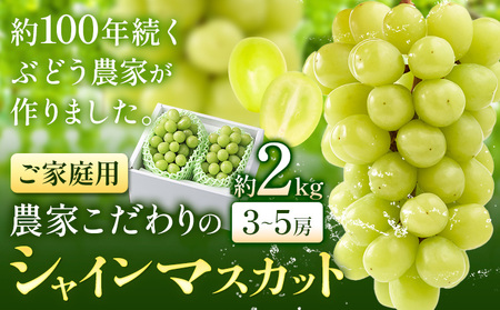 シャインマスカット ご家庭用 農家こだわりの シャインマスカット 3〜5房 約2kg 先行予約[2025年9月中旬-10月末頃出荷(土日祝除く)] Nini farm マスカット 送料無料 岡山県 浅口市 フルーツ 果物 贈り物 国産 岡山県産 くだもの 果物 青果物