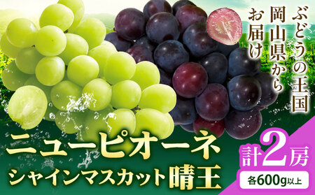 y2026Ns\zVC}XJbgyz & j[sI[l 600gȏ(e1[)  Myselfs2026N9{-10{o(yj)t}XJbg  R s Ԃǂ t