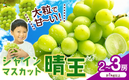 VC}XJbgyz RY 2`3[(v1kgȏ)ys\z Myselfs2025N9{-11{oׁt}XJbg  R s Ԃǂ t[c ʕ 蕨 Mtg