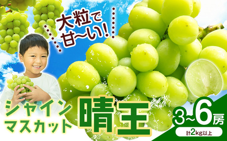 VC}XJbgyz RY 3`6[(v2kgȏ)ys\z Myselfs2025N9{-11{oׁt}XJbg  R s Ԃǂ t[c ʕ 蕨 Mtg