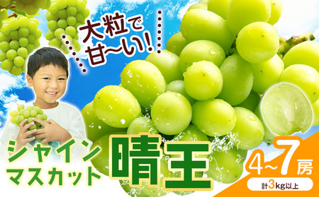 VC}XJbgyz RY 4`7[(v3kgȏ)ys\z Myselfs2025N9{-11{oׁt}XJbg  R s Ԃǂ t[c ʕ 蕨 Mtg