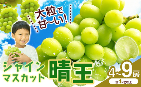VC}XJbgyz RY 4`9[(v4kgȏ)ys\z Myselfs2025N9{-11{oׁt}XJbg  R s Ԃǂ t[c ʕ 蕨 Mtg