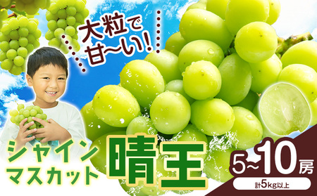 VC}XJbgyz RY 5`10[(v5kgȏ)ys\z Myselfs2025N9{-11{oׁt}XJbg  R s Ԃǂ t[c ʕ 蕨 Mtg
