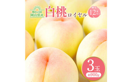 [先行予約]岡山白桃ロイヤル 3玉 計約900g 橋田商店有限会社[7月上旬-8月中旬頃出荷] 岡山県 浅口市 岡山県産 もも フルーツ 果物 くだもの 白桃 送料無料