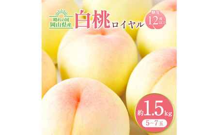 岡山白桃 ロイヤル 約1.5kg 橋田商店有限会社 桃