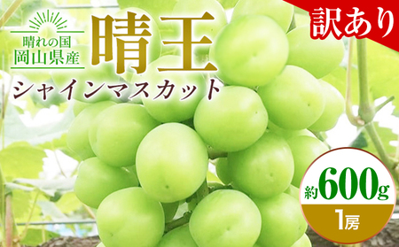 [先行予約]ぶどう 訳ありシャインマスカット晴王 約600g 1房 橋田商店有限会社[9月中旬-11月中旬頃出荷] 岡山県 浅口市 岡山県産 ぶどう フルーツ 果物 くだもの マスカット 送料無料[配送不可地域あり] st-p
