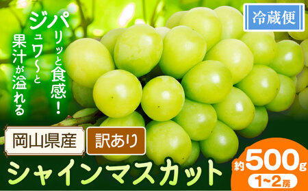 シャインマスカット訳あり約500g[配送不可地域あり]
