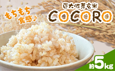 巨大胚芽米COCORO 玄米 約5kg[配送不可地域あり] (離島) ドリームクリエイト早瀬農産 早瀬亨[2026年10月中旬-11月中旬頃出荷] 岡山県 浅口市 岡山県産 米 コメ こめ 玄米 送料無料