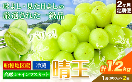 高級 シャインマスカット 2ヶ月 定期便[先行予約]ぶどう 晴王 1房600g×2ヶ月 計1.2kg 岡山県産[9月上旬-10月末頃出荷(土日祝除く)] ハレノフルーツ マスカット 送料無料 岡山県 浅口市 フルーツ 果物 贈り物 ギフト 国産 岡山県産[配送不可地域あり](北海道・沖縄・離島)
