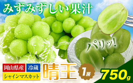 VC}XJbg }XJbg  RY Ԃǂy2026Ns\zVC}XJbg  1[ 750g RYs2026N9{-10o(yj)t nmt[c }XJbg 