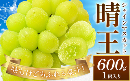 [2026年先行予約]ぶどう シャインマスカット 晴王 約600g (1房入り) 満天フルーツ[2026年9月上旬-10月末頃出荷]岡山県 浅口市 送料無料 マスカット フルーツ 果物 お取り寄せ 贈り物 ギフト 国産 岡山県産[配送不可地域あり]