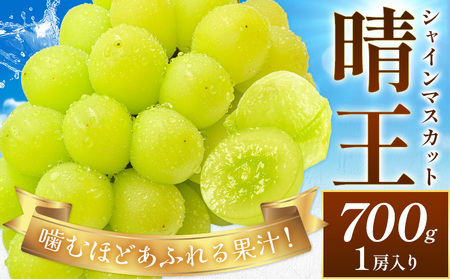 y2026Ns\zԂǂ VC}XJbg  700g (1[) Vt[cs2026N9{-10oׁtR s  }XJbg t[c ʕ 񂹃t[c 