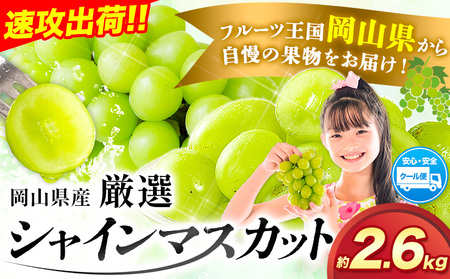 すぐ届く![スピード出荷! 3-7営業日以内発送]シャインマスカット 厳選 訳あり シャインマスカット 約 2.6kg(3~5房) シャインマスカット シャインマスカット 訳あり シャインマスカット