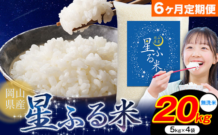 y6ցz ӂ 20kg RY ās\ݗ甭tӂ邳 R R s   uh   ɂ R 