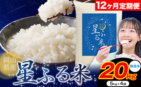 y12ցz ӂ 20kg RY ās\ݗ甭tӂ邳 R R s   uh   ɂ R 