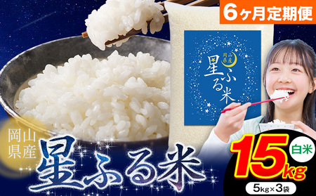 y6ցz ӂ 15kg RY ās\ݗ甭tӂ邳 R R s   uh  ɂ R 