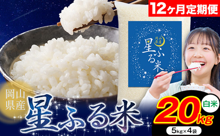 y12ցz ӂ 20kg RY ās\ݗ甭tӂ邳 R R s   uh  ɂ R 