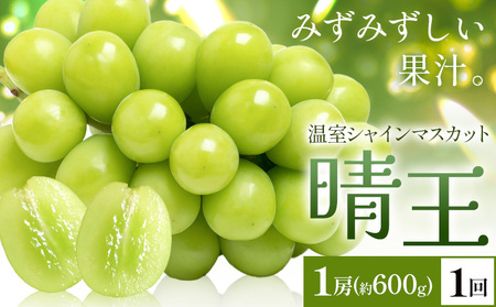 y2026Ns\zVC}XJbg   1[(600g) 1񂨓͂ VC }XJbgs2026N7{-8{oׁtTʁ@(RsX(xmH L)) 