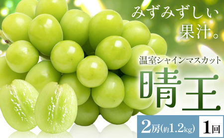 y2026Ns\zVC}XJbg   2[(v1.2kg) 1񂨓͂ VC }XJbgs2026N7{-8{oׁtTʁ@(RsX(xmH L))