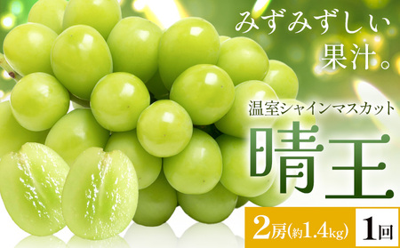 y2026Ns\zVC}XJbg   2[(v1.4kg) 1񂨓͂ VC }XJbgs2026N7{-8{oׁtTʁ@(RsX(xmH L))